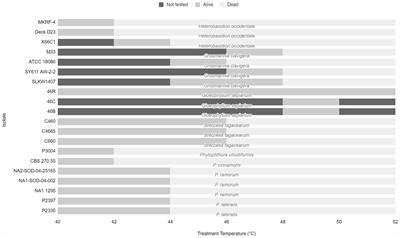 Evidence to support phytosanitary policies–the minimum effective heat treatment parameters for pathogens associated with forest products